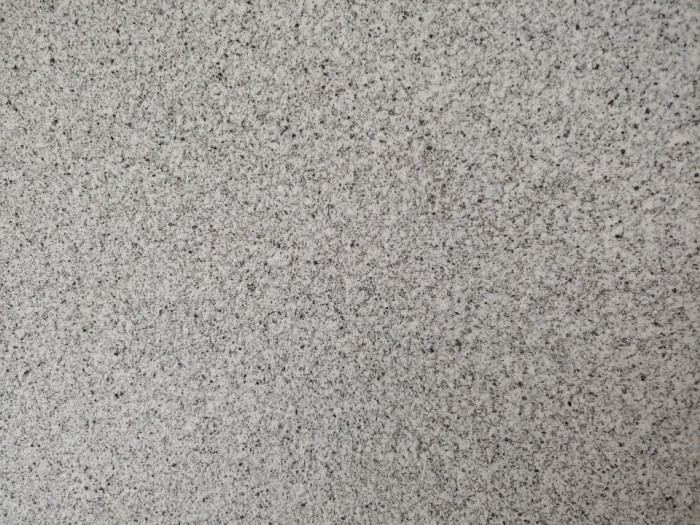 6b3789cf739c0b585a547833cea3ae76_1611540513_0584.jpg